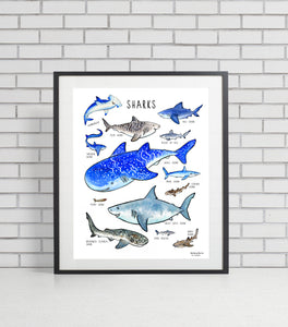 Shark Poster, Whimsical Wall Art