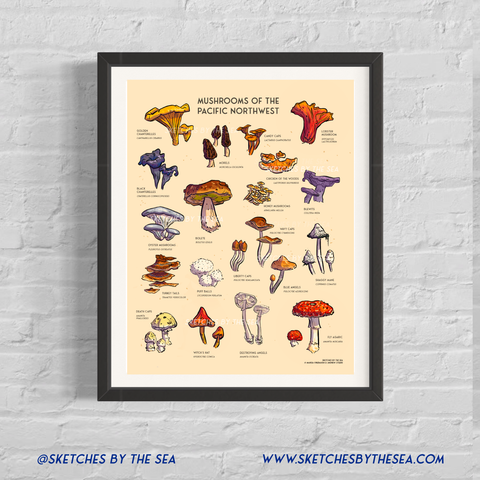Mushrooms of the Pacific Northwest Art Print