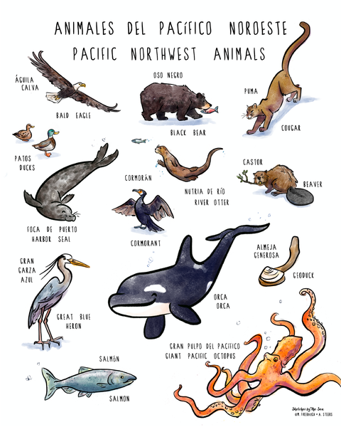 Pacific Northwest Animals Poster, Whimsical Wall Art