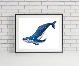 Humpback Whale Art Print