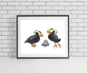 Tufted Puffins Art Print