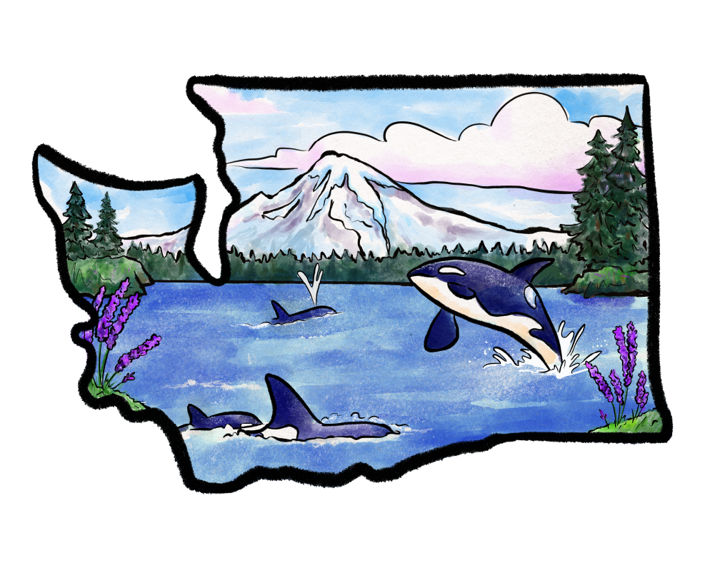 Washington State and Orcas Illustration Print