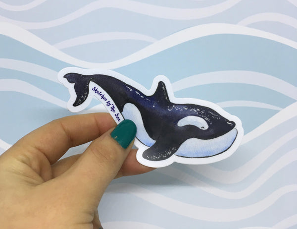 Orca Whale Sticker ST812