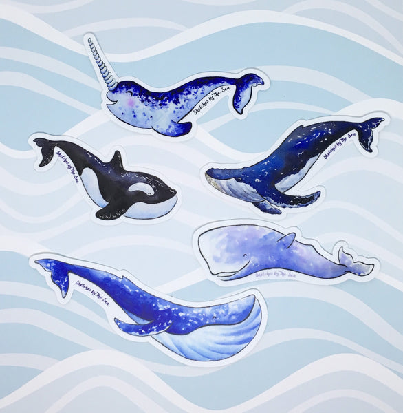Blue Whale Sticker ST810