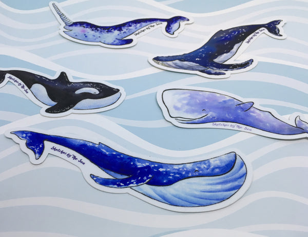 Humpback Whale Sticker ST813