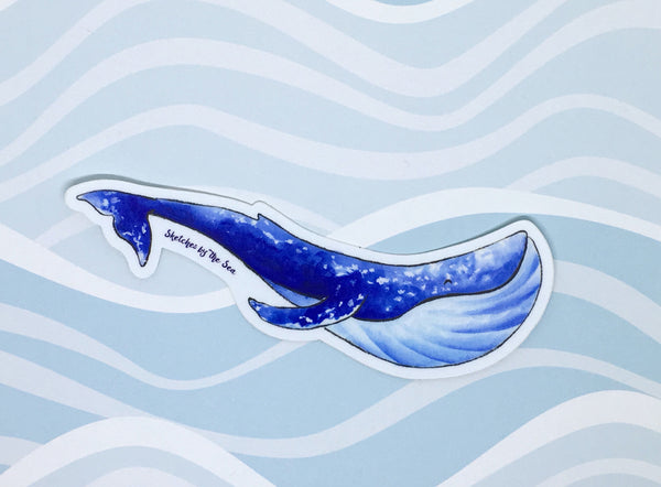 Blue Whale Sticker ST810