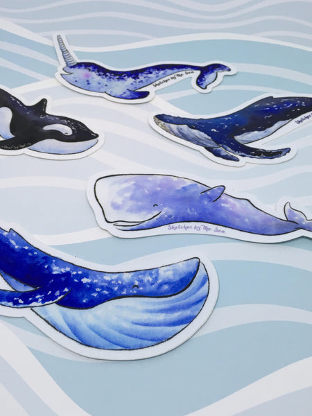 Narwhal Sticker ST814