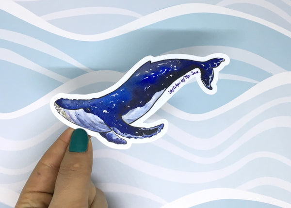 Humpback Whale Sticker ST813